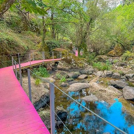 Casa Trilho The Gaios Bed & Breakfast Tabua  Ngoại thất bức ảnh