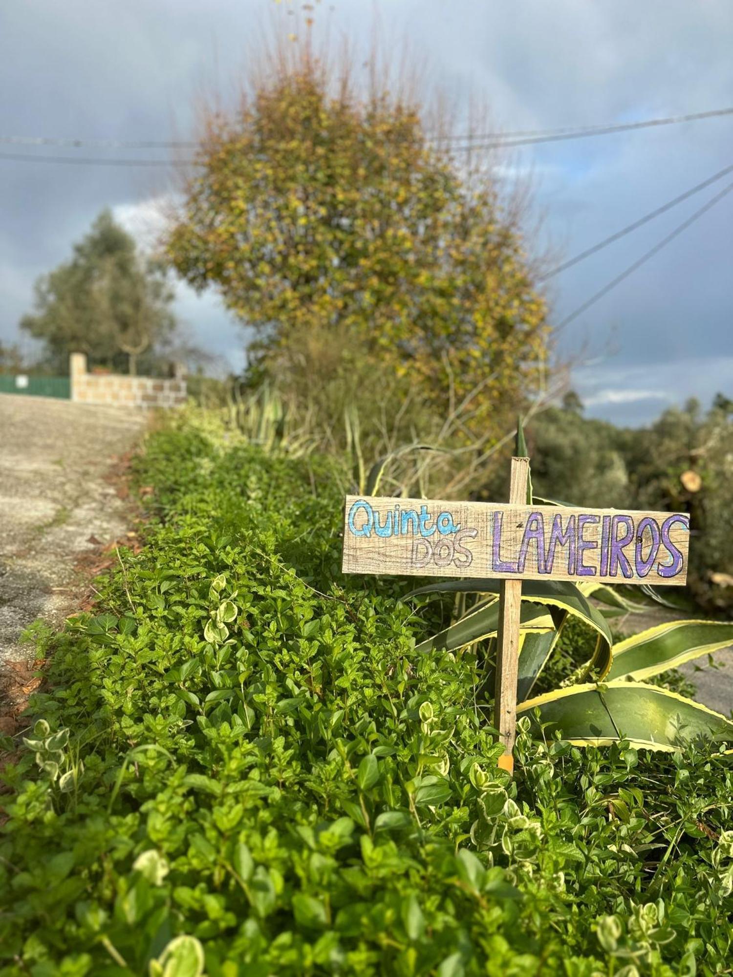 Casa Trilho The Gaios Bed & Breakfast Tabua  Ngoại thất bức ảnh